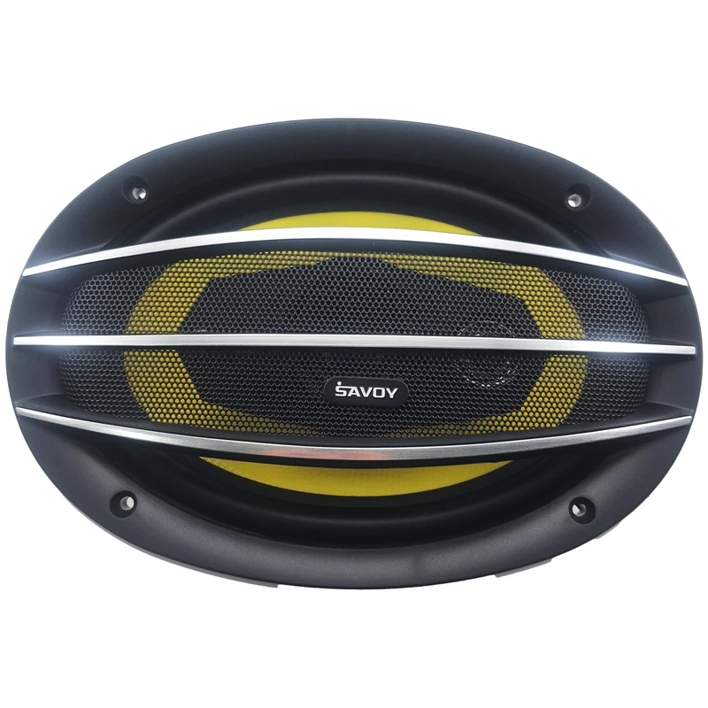 اسپیکر ساووی مدل SV6955 1 اسپیکر ساووی مدل SV6955