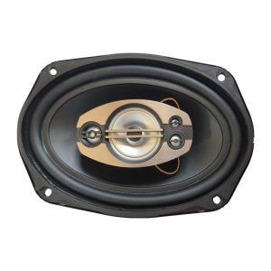 اسپیکر خودرو دیانا مدل DS6998